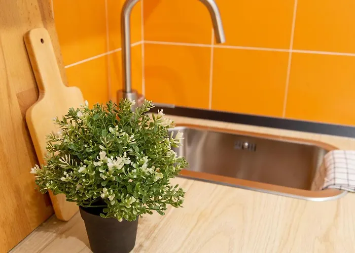 Quiet In The Heart Of The Trieste